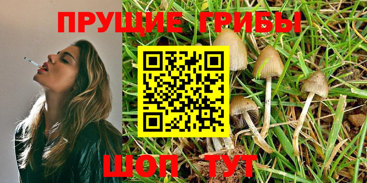 Ханты-Мансийск  Псилоцибиновые грибы MAGIC MUSHROOMS  Вход с VPN 